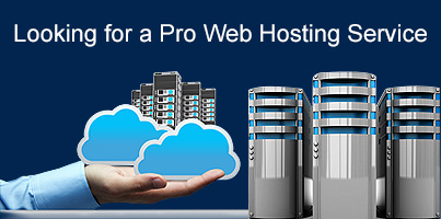 Enterprise Business Web Hosting